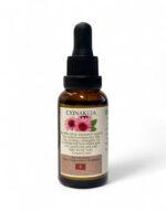 αγιορείτκο βάμμα εχινάκειας άγιον όρος κελί αρχαγγέλων- byzanteiko mount athos echinacea tincture 30ml