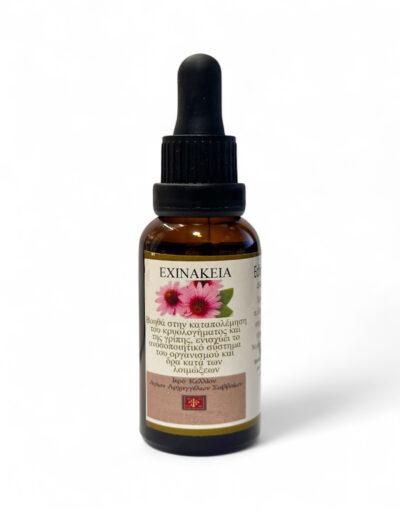αγιορείτκο βάμμα εχινάκειας άγιον όρος κελί αρχαγγέλων- byzanteiko mount athos echinacea tincture 30ml